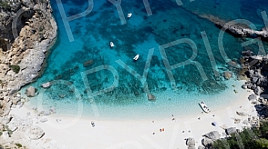 Sardinia fly