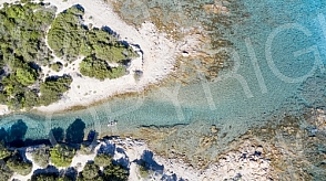 Sardinia fly