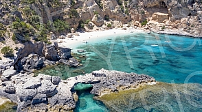 Sardinia fly