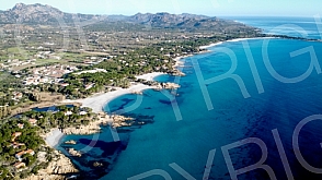Sardinia fly