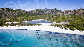 Sardinia fly