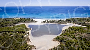 Sardinia fly
