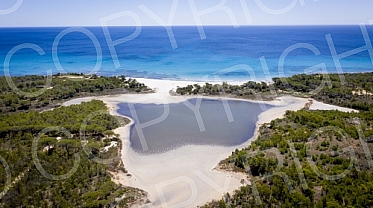 Sardinia fly