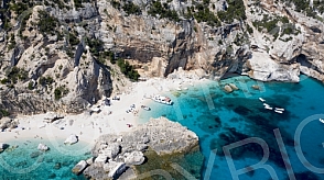 Sardinia fly